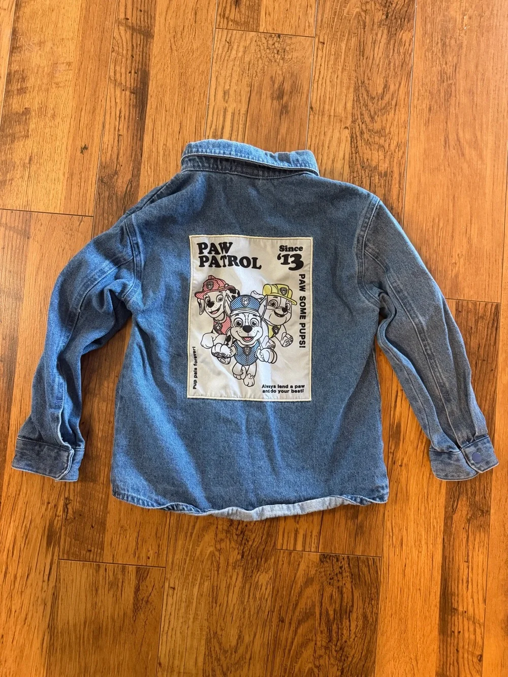 Paw Patrol classic blue
